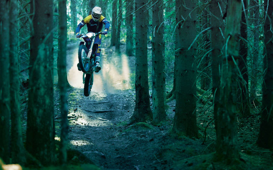 Motocross Forest Jump Wallpaper