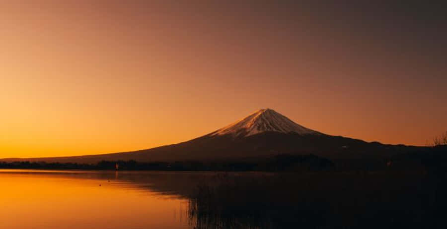 Mount Fuji And Lake Shojiko Wallpaper