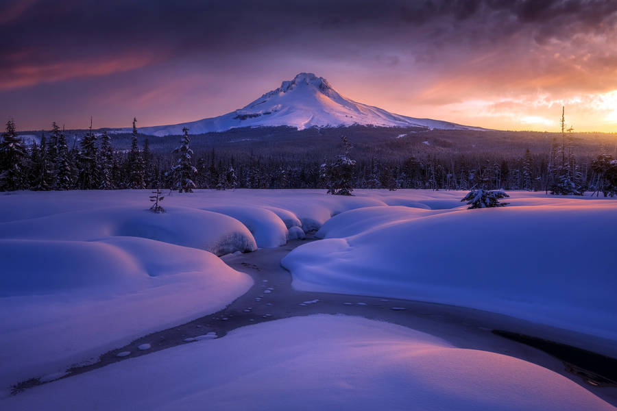 Mount Hood Snow Mountain Wallpaper