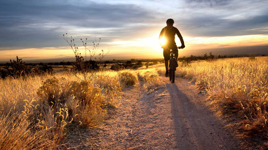 Mountain Biking Away From Sunset Trail Wallpaper