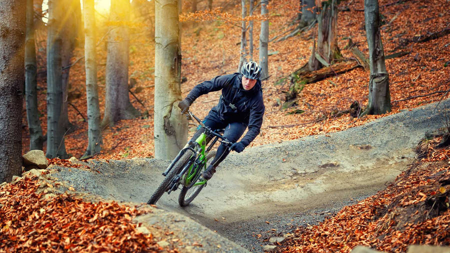 Mountain Biking Up On Hill Autumn Season Wallpaper