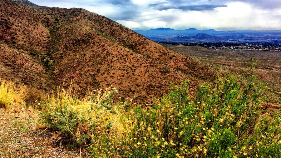 Mountains With Green Grass In El Paso Wallpaper