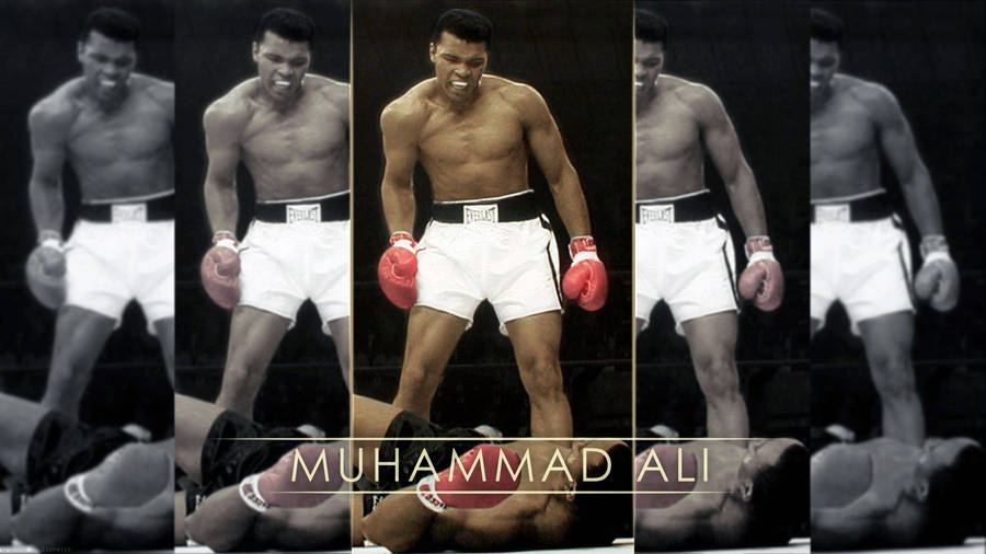 Muhammad Ali First Minute Knockout Wallpaper