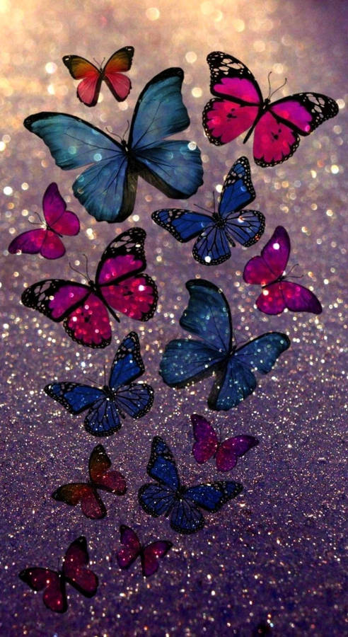 Multicolor Butterflies Wallpaper