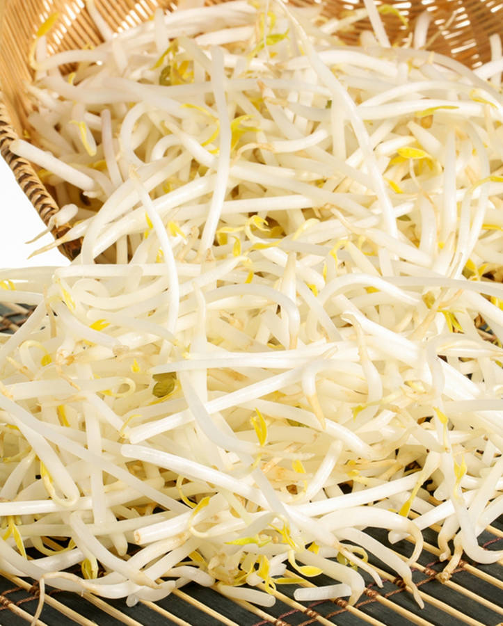 Mung Bean Sprouts Asian Vegetable Wallpaper