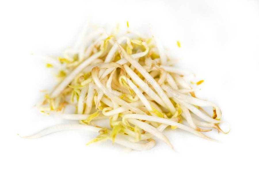 Mung Bean Sprouts Healthy Vegetable Wallpaper