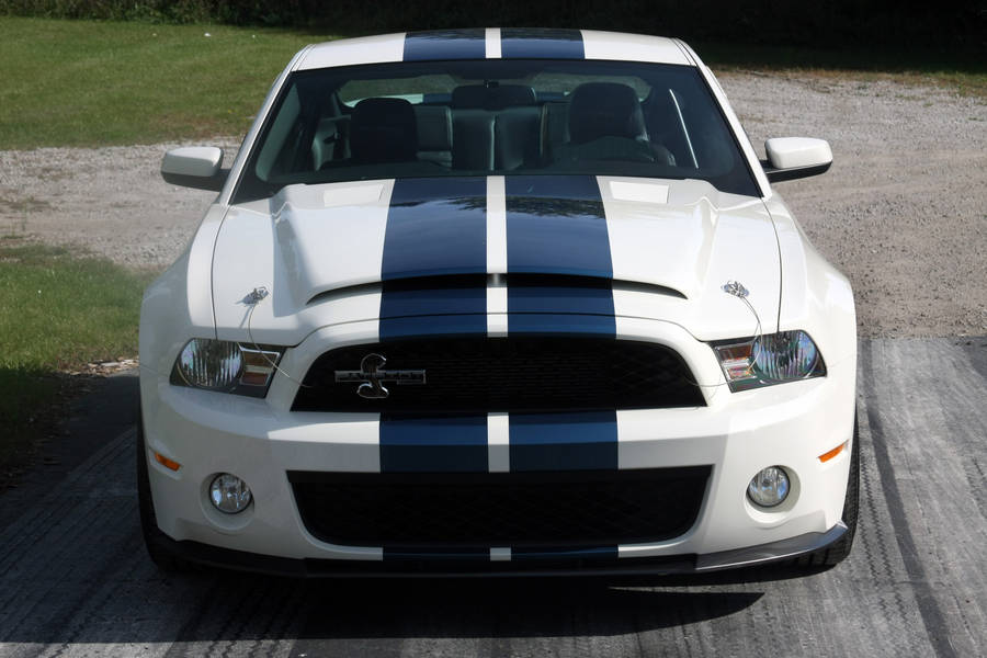 Muscle Car Shelby Iphone Wallpaper