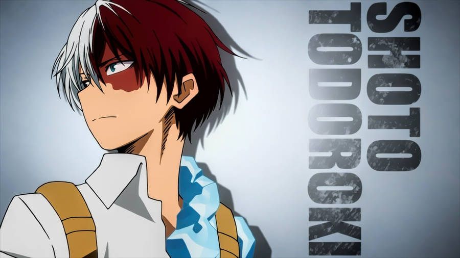 My Hero Academia Shoto Todoroki Full Name Wallpaper