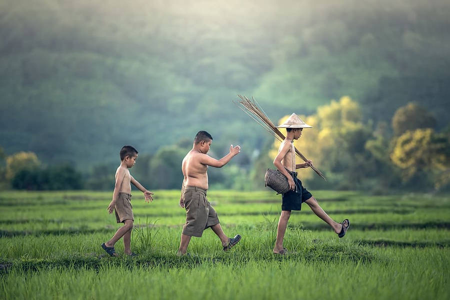 Myanmar Farming Kids Wallpaper