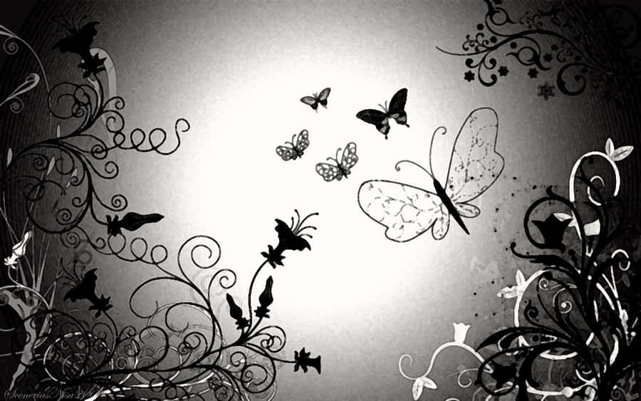 Mysterious Dark Butterfly On A Black Background Wallpaper