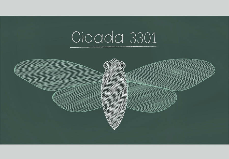 Mysterious Green Poster Of Cicada 3301 Wallpaper