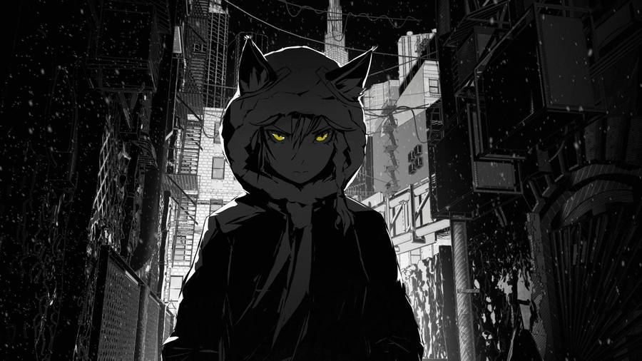 Mysterious Hooded Cat Girl In A Dark Anime Aesthetic Wallpaper