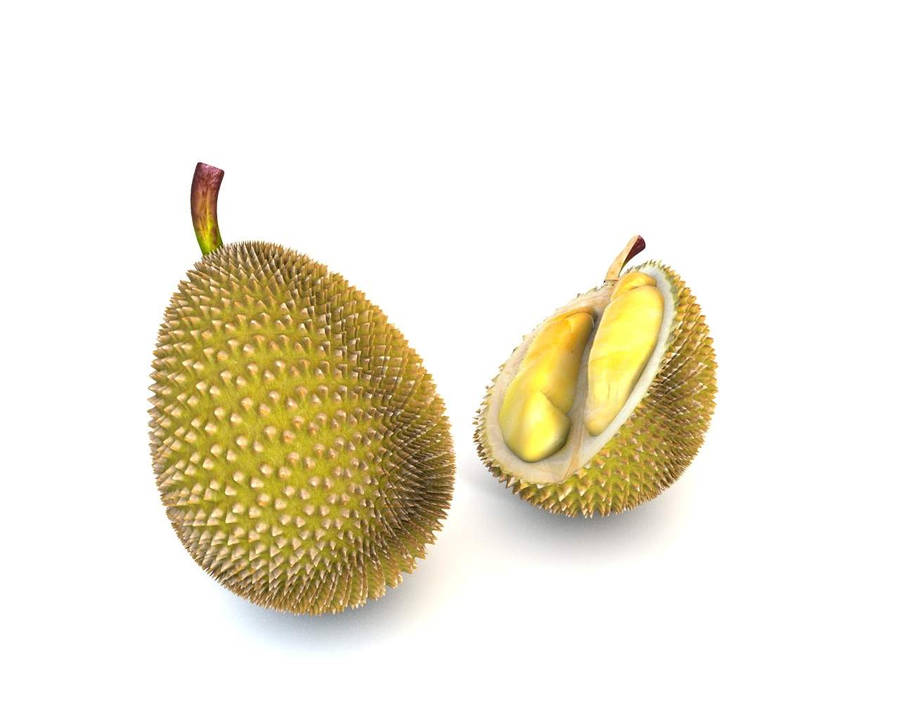 Mystique Of The King Of Fruits - Durian Wallpaper