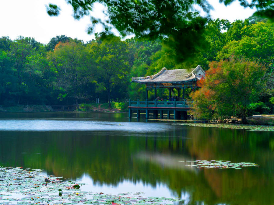 Nanjing Liu Hui Pavilion Wallpaper