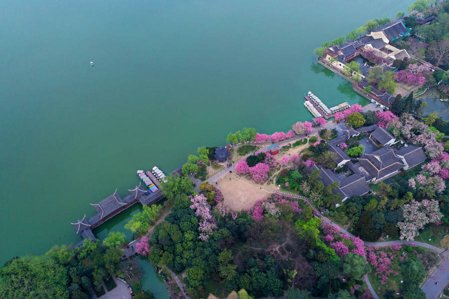 Nanjing Mochou Lake Park Wallpaper