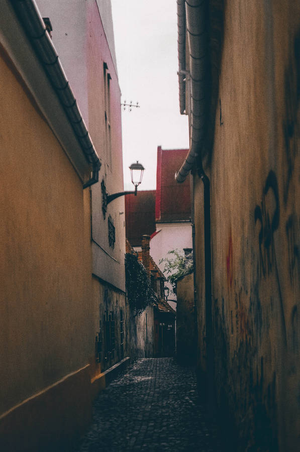 Narrow Belgium Street Wallpaper