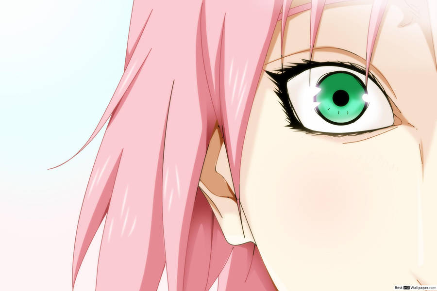 Naruto Anime Sakura Green Eyes Wallpaper