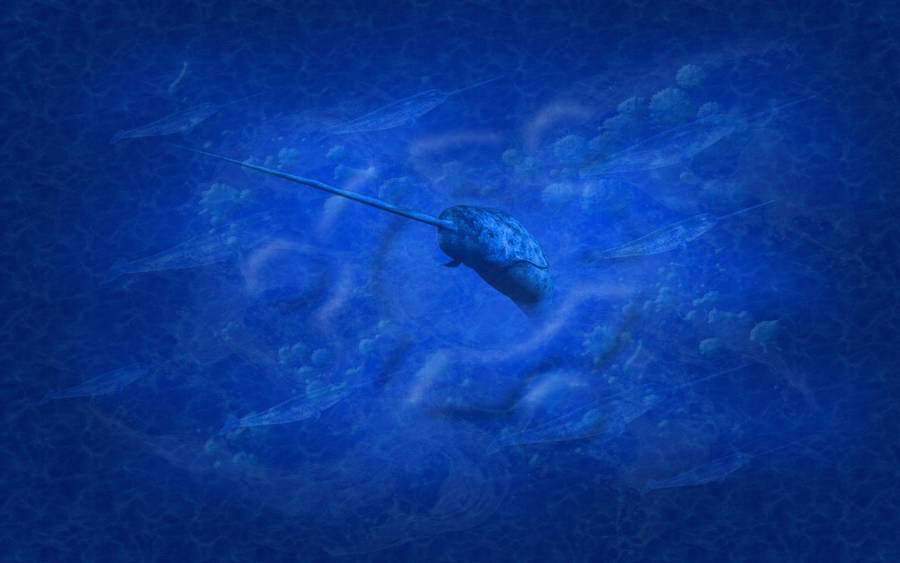 Narwhal Blue Art Wallpaper