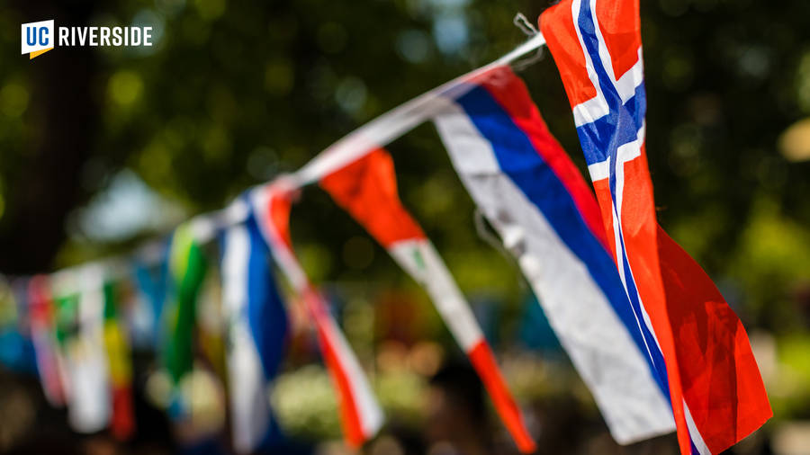 National Flags In Ucr Campus Wallpaper