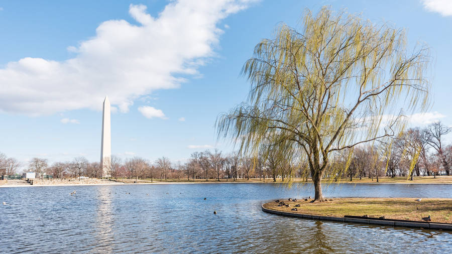 National Mall Constitution Gardens Wallpaper