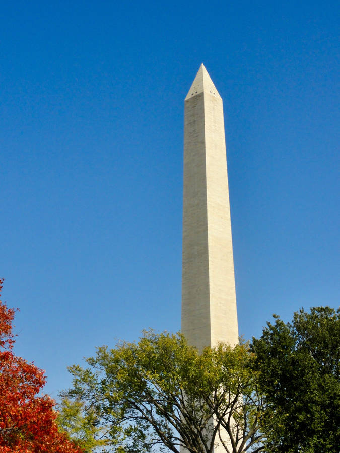 National Mall Monument Near Trees Wallpaper