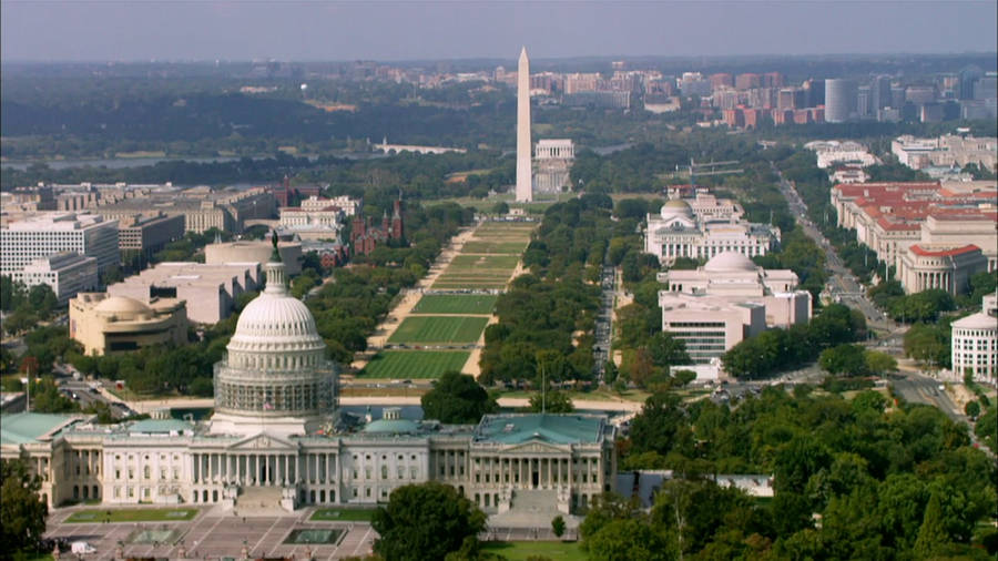 National Mall Trees Wallpaper