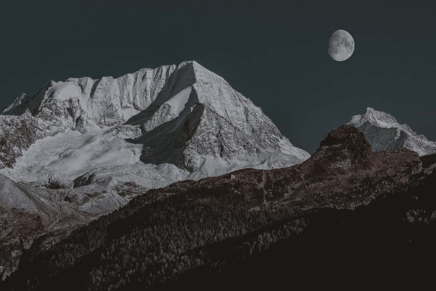 “natural Beauty In Shades Of Darkness” Wallpaper