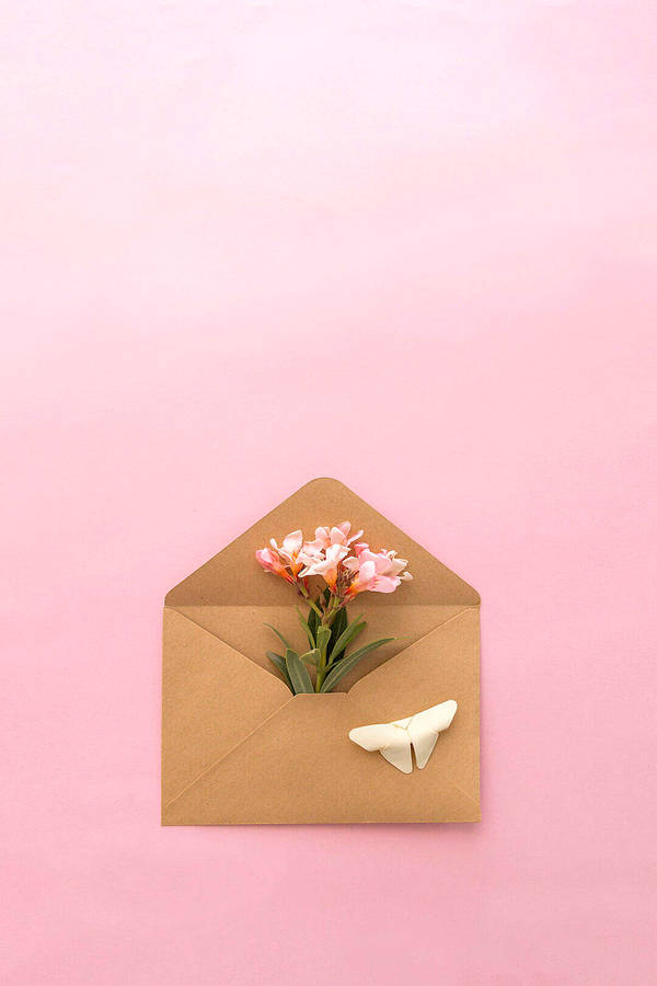 Natural Flower In An Envelope Wallpaper