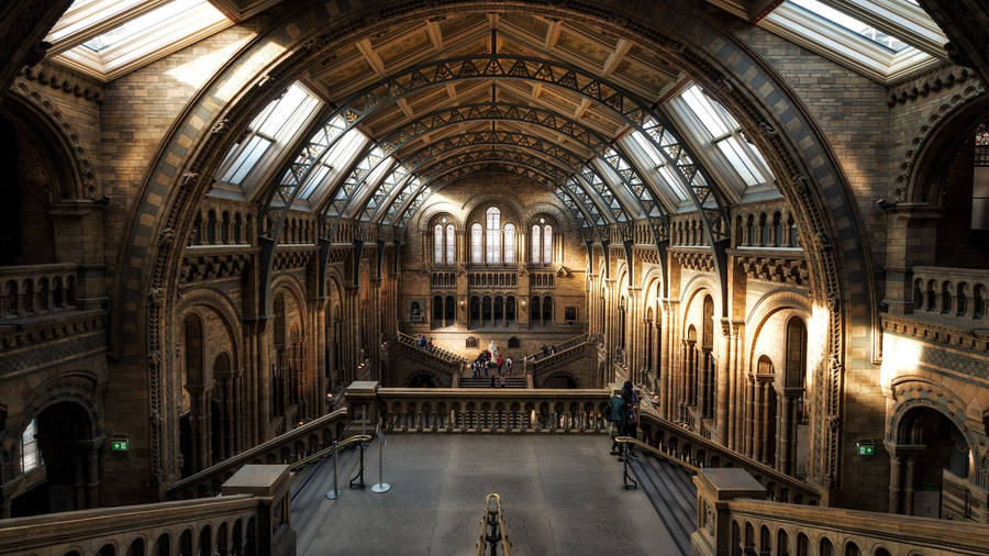 Natural History Museum Wallpaper