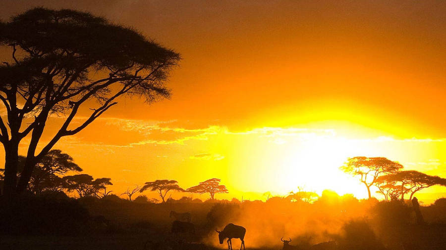 Nature And Wildlife In Kenya Wallpaper