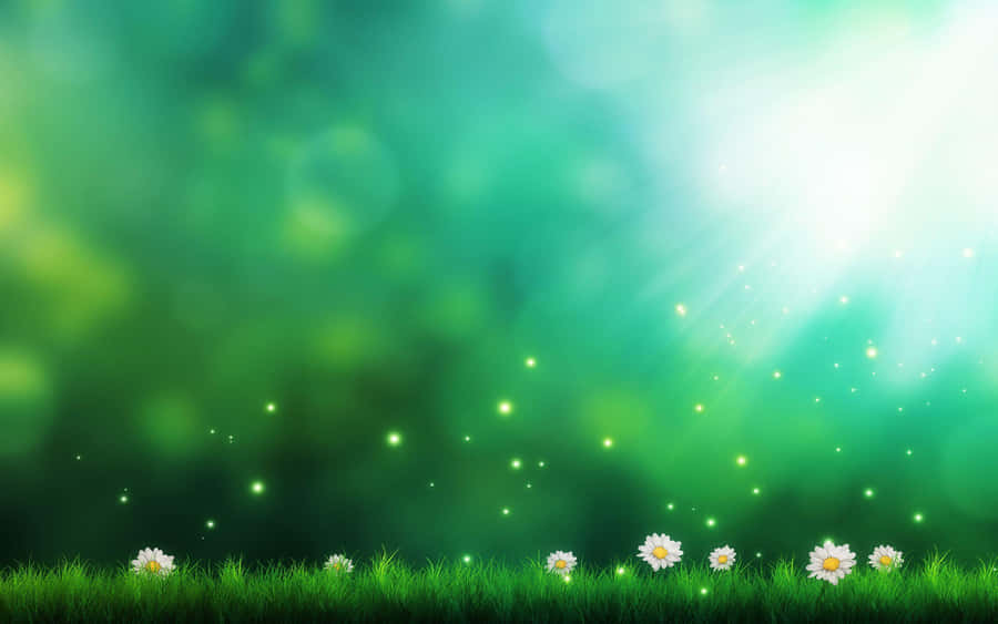 Nature Themed Background Image Wallpaper