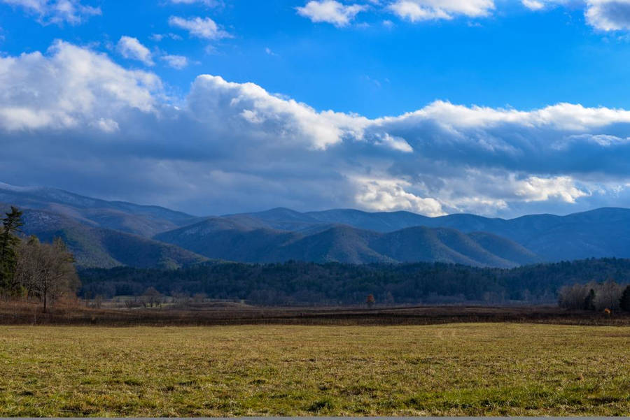 Nature Trails North Carolina Wallpaper