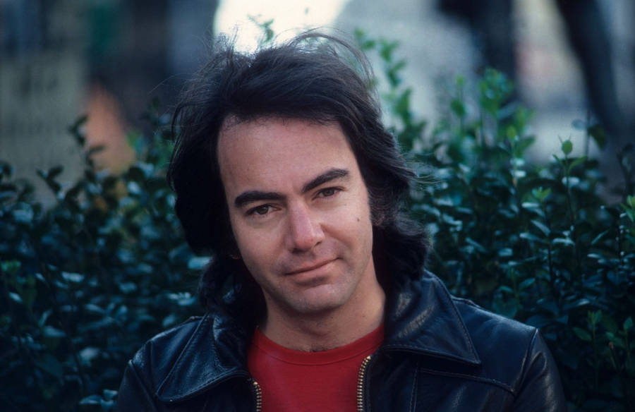 Neil Diamond And The Bush Wallpaper