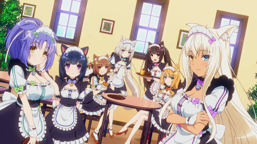 Nekopara Visual From Ova Wallpaper