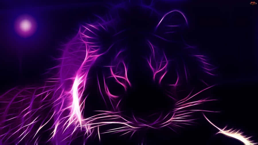 Neon Animal Purple Wild Cat Wallpaper