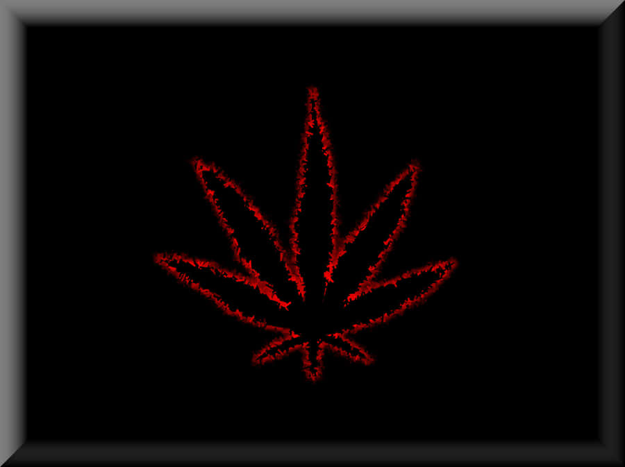 Neon Red Cannabis Leaf Wallpaper