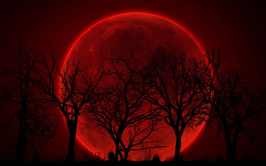 Neon Red Moon Wallpaper