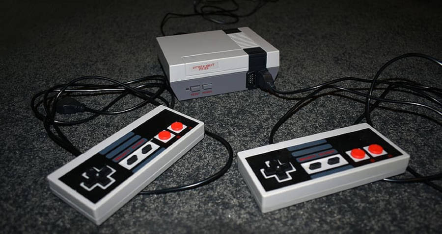 Nes In Gray Carpet Wallpaper