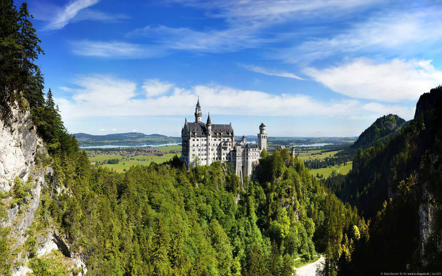 Neuschwanstein Castle Green Trees Distant Wallpaper