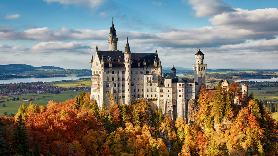 Neuschwanstein Castle Orange Trees Wallpaper