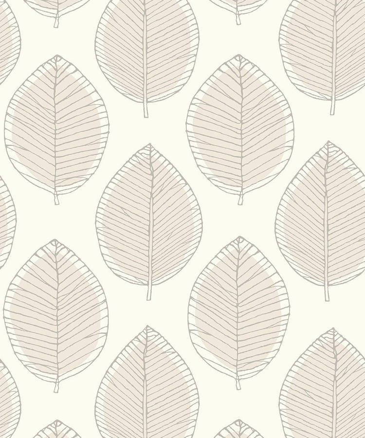 Neutral Iphone Leaf Sketch Wallpaper