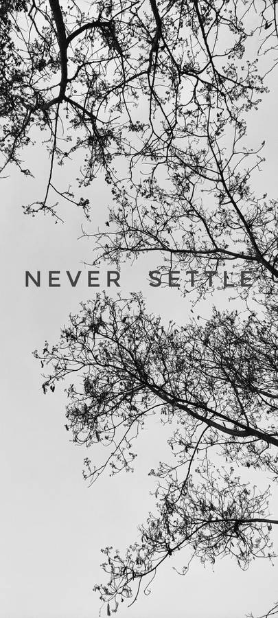 Never Settle White Black Tree Wallpaper