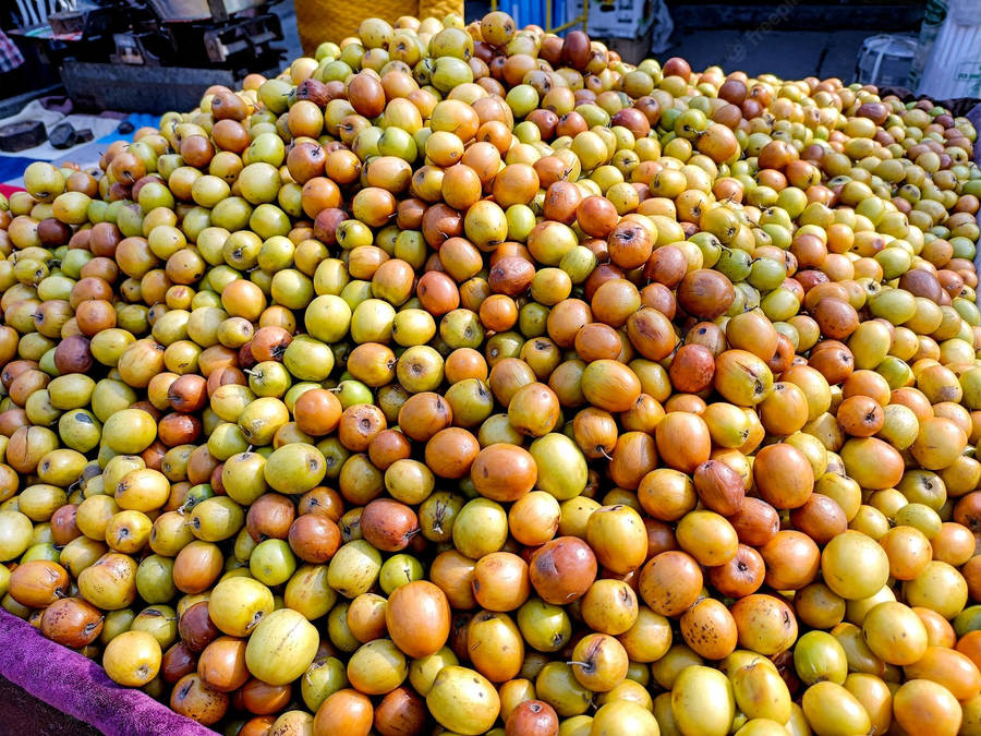 Newly Harvested Jujube Fruits Wallpaper