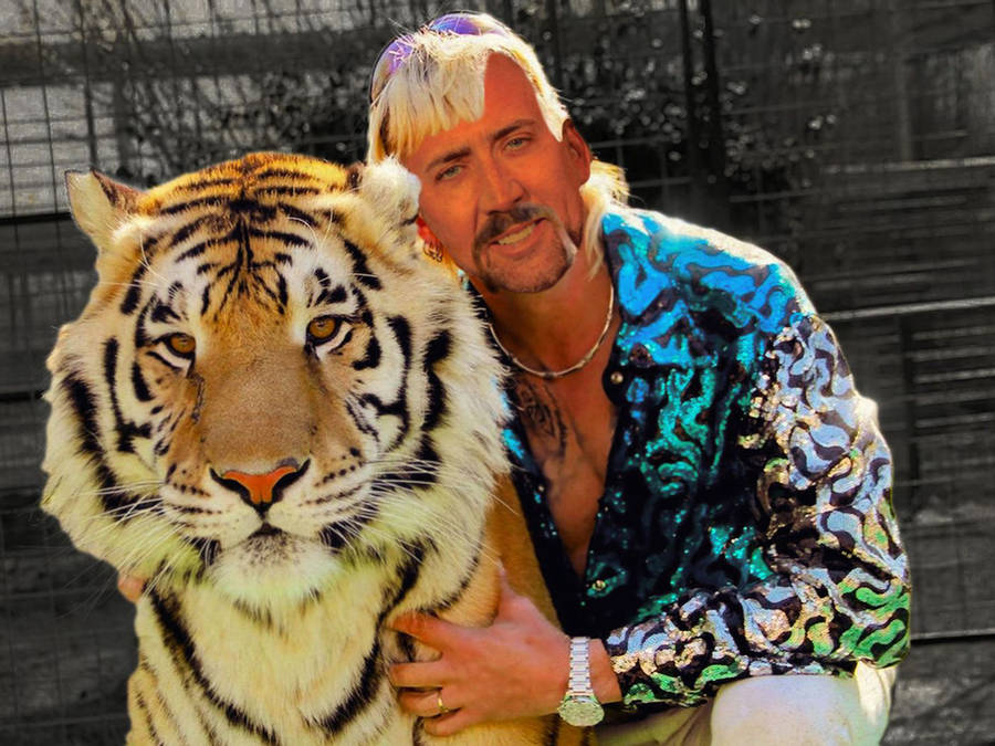 Nicolas Cage Meme Tiger King Wallpaper