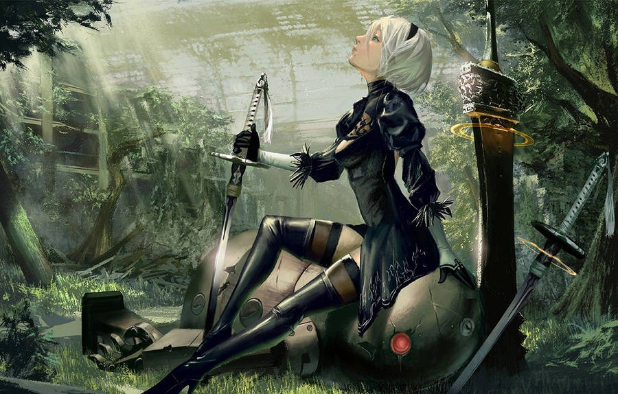 Nier Automata 2b Wallpaper