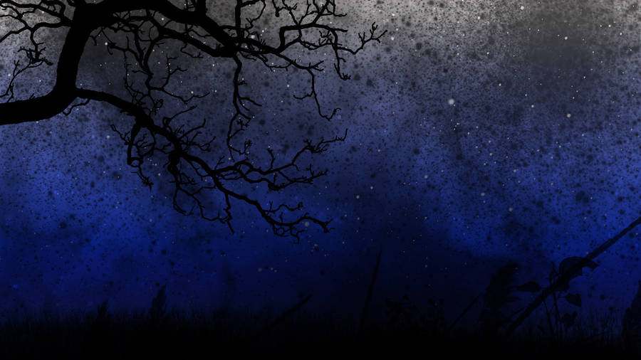 Night Aesthetic Tree Branch Silhouette Wallpaper