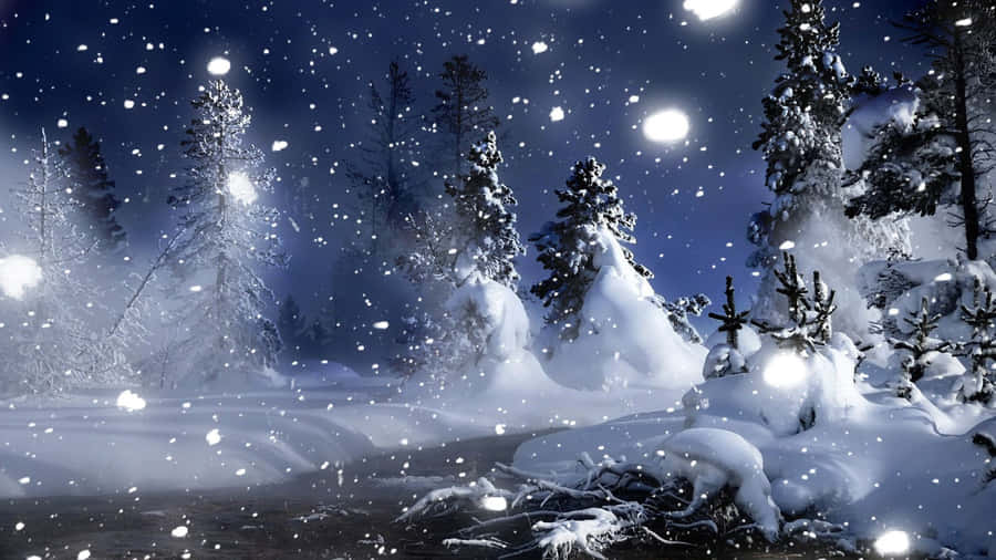 Night Scene Winter Wonderland Desktop Wallpaper