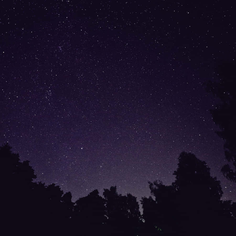Night Time Under A Beautiful Night Sky Wallpaper