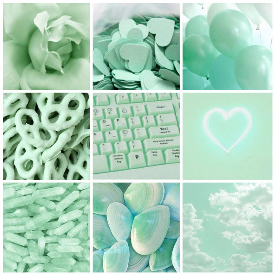 Nine Mint Items Pastel Green Aesthetic Wallpaper