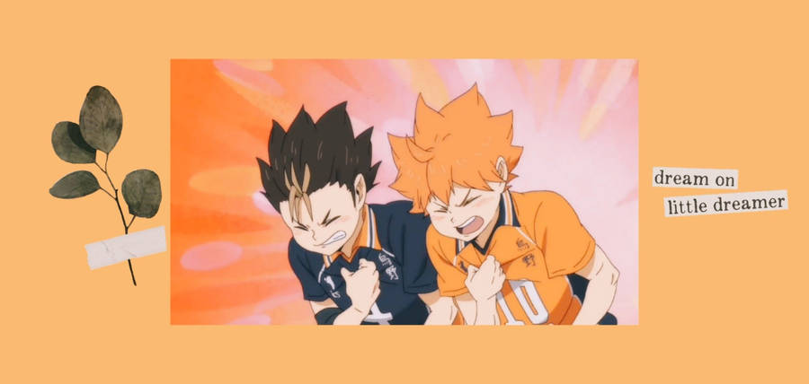 Nishinoya And Hinata Haikyuu Desktop Wallpaper